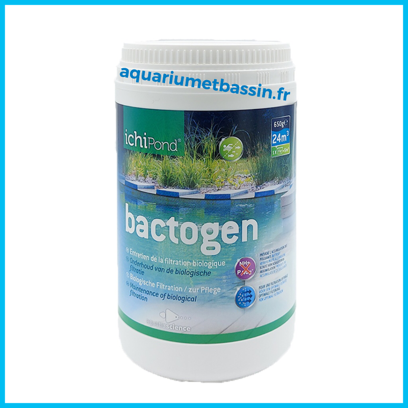 bactogen anti algues bassin