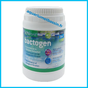 bactogen anti algue bassin