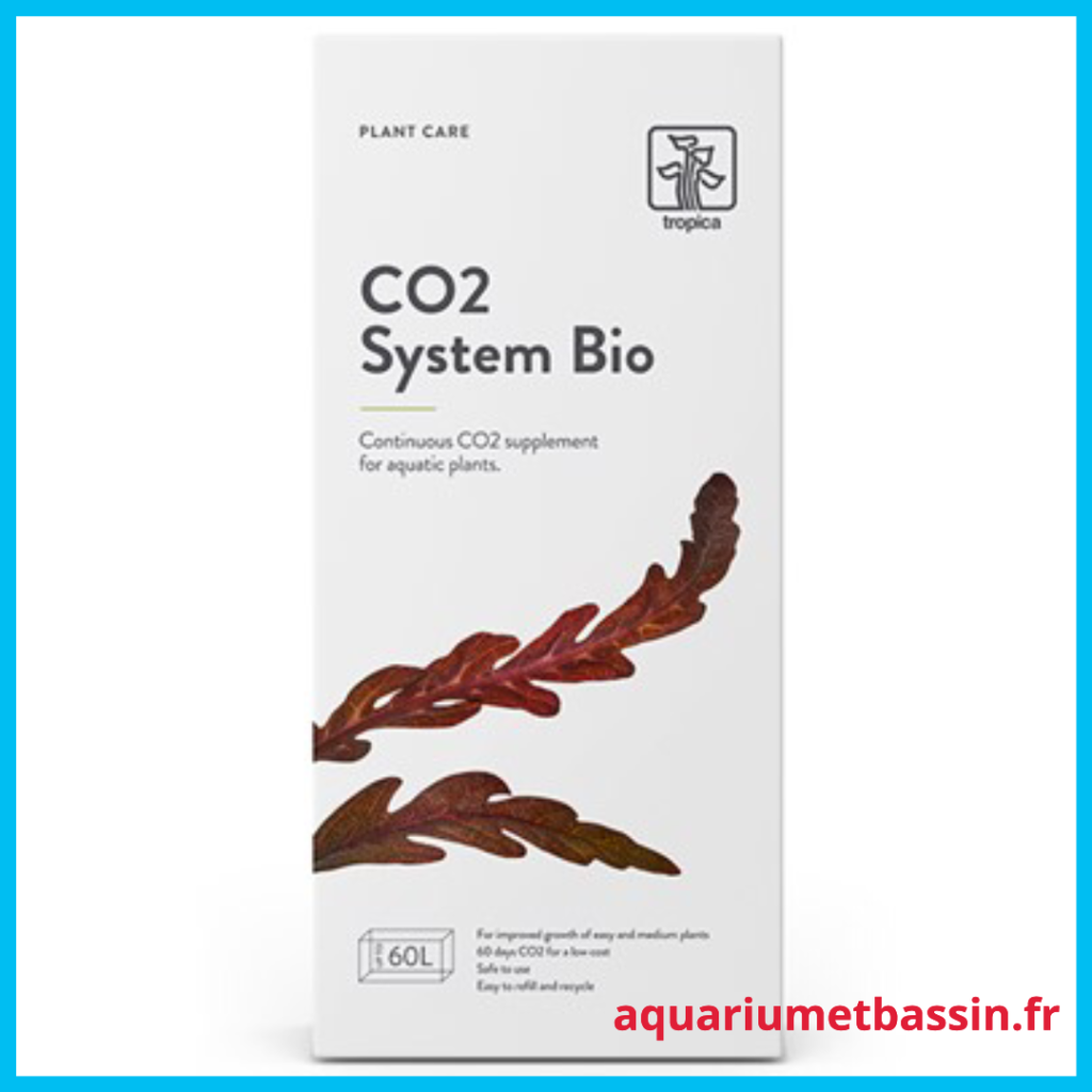 Gallery Detail: Co2 System Bio Tropica